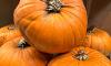 Fresh and Fruity pumpkin