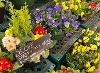Deluxe Spring Pots