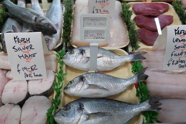 Fish from Mark Williams Fish Monger