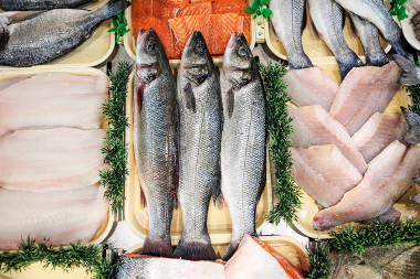 Fish from Mark Williams Fish Monger 